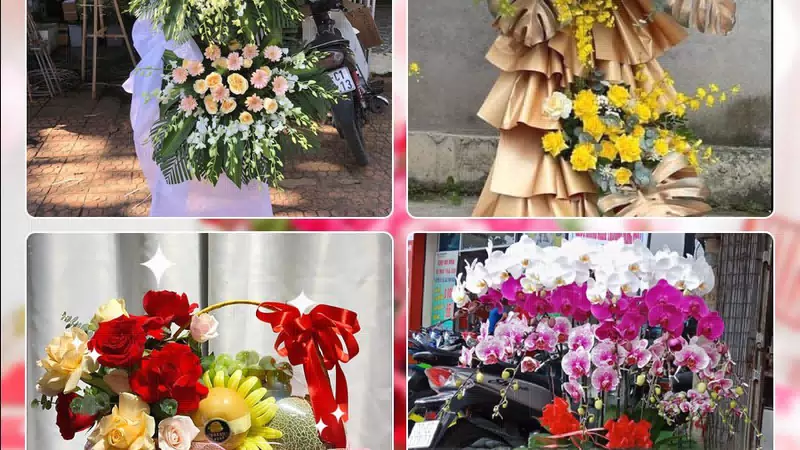 Shop Hoa Tươi Xã Quang Minh - Thành phố Hà Nội