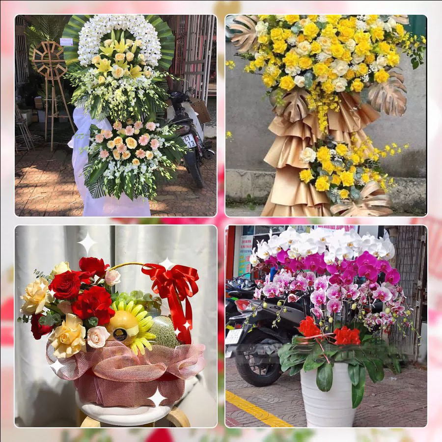Shop Hoa Tươi Xã Quang Minh - Thành phố Hà Nội
