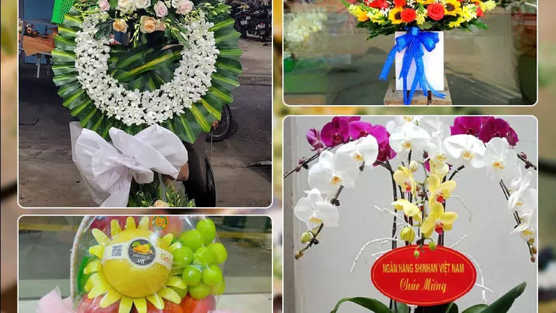 Shop Hoa Tươi Phường Vinh Lộc - Tỉnh Nghệ An