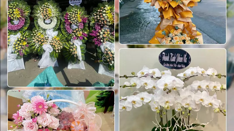Shop Hoa Tươi Phường Vĩnh Yên - Tỉnh Phú Thọ