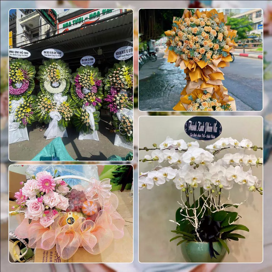 Shop Hoa Tươi Phường Vĩnh Yên - Tỉnh Phú Thọ