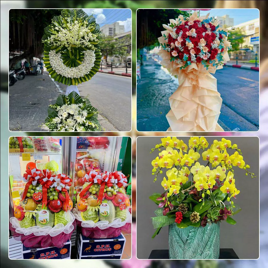 Shop Hoa Tươi Phường Đồng Hới - Tỉnh Quảng Trị
