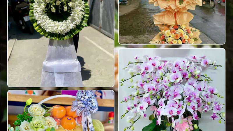Shop Hoa Tươi Phường Hoàng Mai - Thành phố Hà Nội
