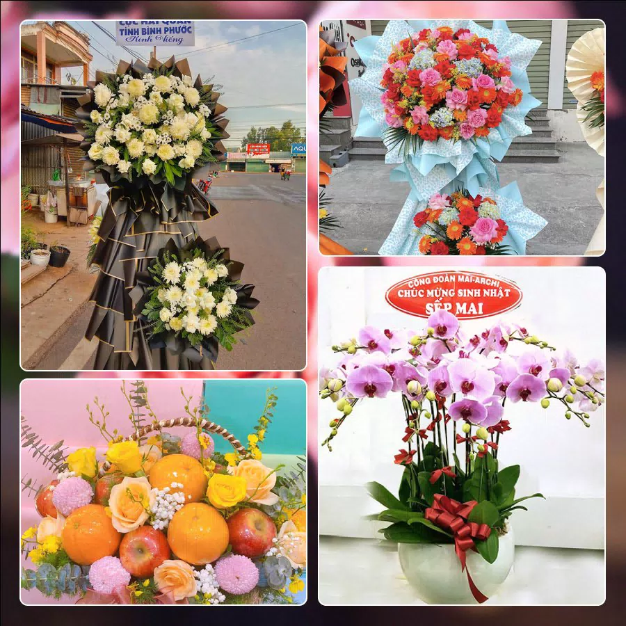 Mẫu hoa tươi ThuyHoaTuoi.Com giao tại Phường Hoàng Mai