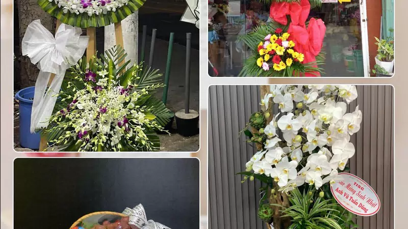 Shop Hoa Tươi Phường Phước Hậu - Tỉnh Vĩnh Long