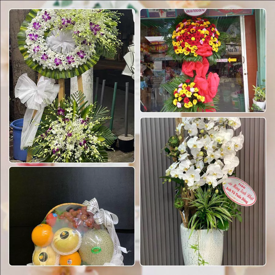 Shop Hoa Tươi Phường Phước Hậu - Tỉnh Vĩnh Long