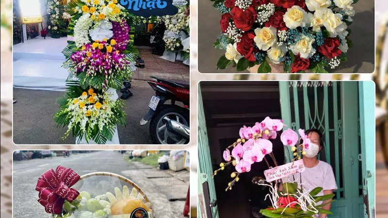 Shop Hoa Tươi Xã Phú Nghĩa - Thành phố Hà Nội
