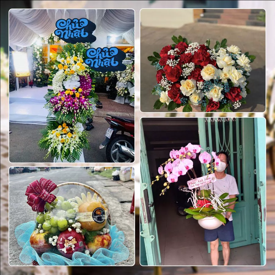 Shop Hoa Tươi Xã Phú Nghĩa - Thành phố Hà Nội