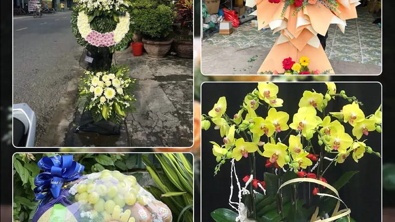 Shop Hoa Tươi Phường Điện Bàn Đông - Thành phố Đà Nẵng