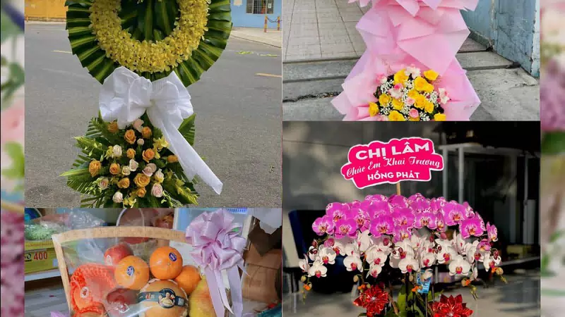 Shop Hoa Tươi Phường Phú Mỹ - Thành phố Hồ Chí Minh