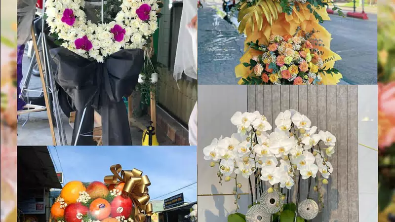 Shop Hoa Tươi Phường Tĩnh Gia - Tỉnh Thanh Hóa