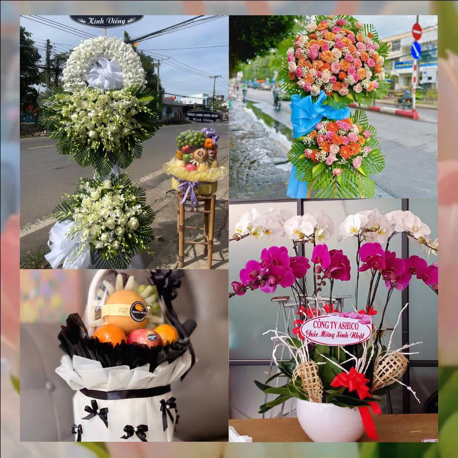 Hoa tươi giao tại Phường Hà Lầm, Hạ Long, Quảng Ninh