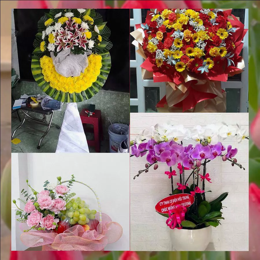 Shop Hoa Tươi Phường Minh Xuân - Tỉnh Tuyên Quang