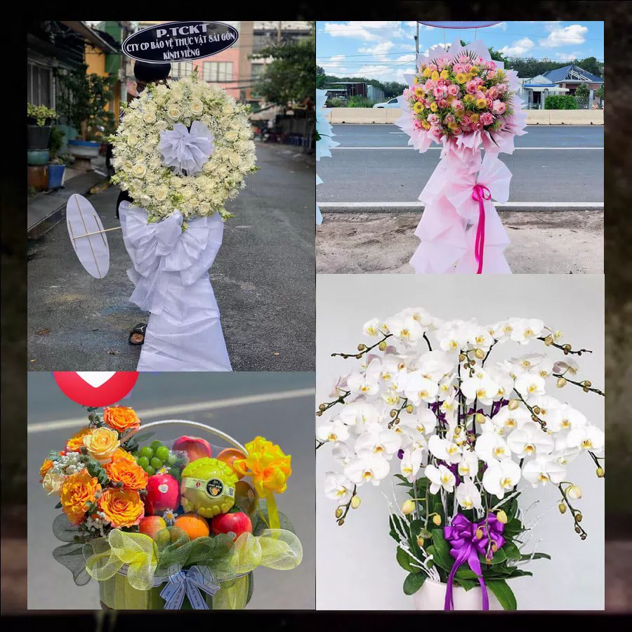 Shop Hoa Tươi Phường Cẩm Thành - Tỉnh Quảng Ngãi