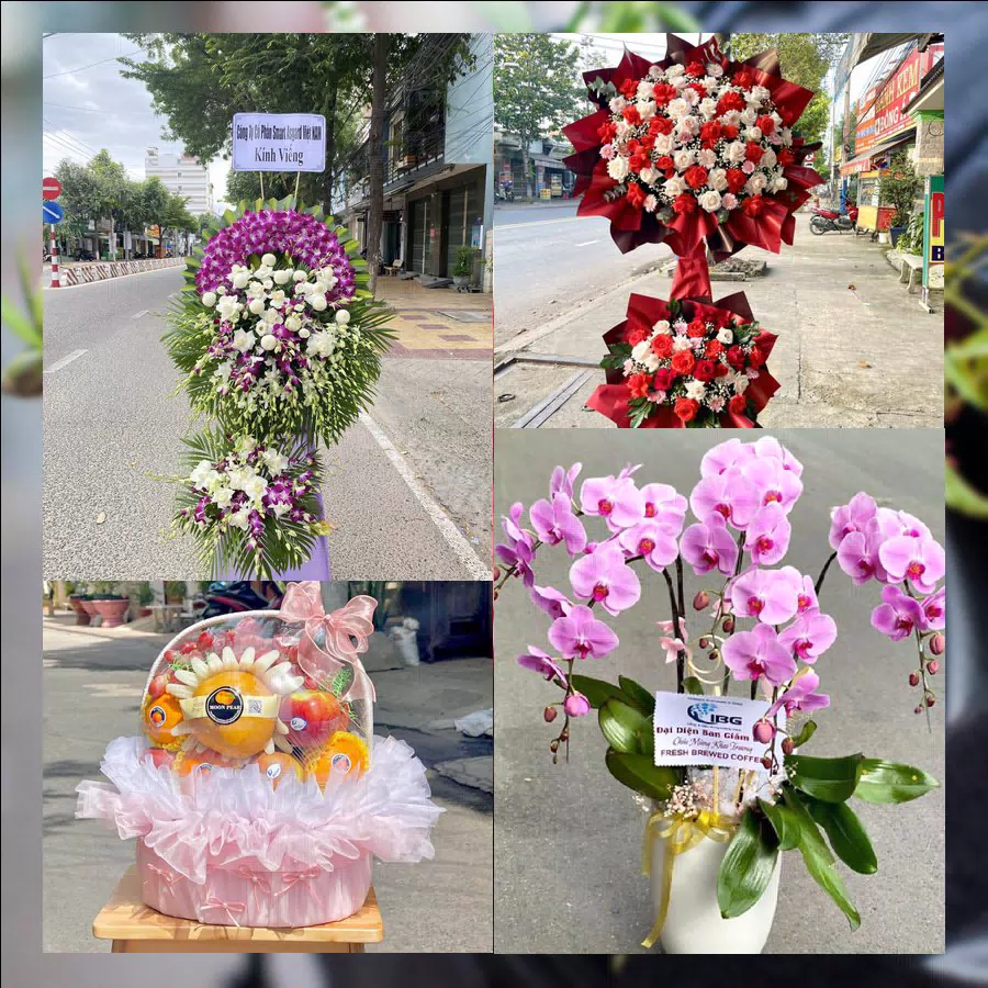 Hoa tươi gói trọn tình cảm tại Phường Cẩm Thành, Quảng Ngãi