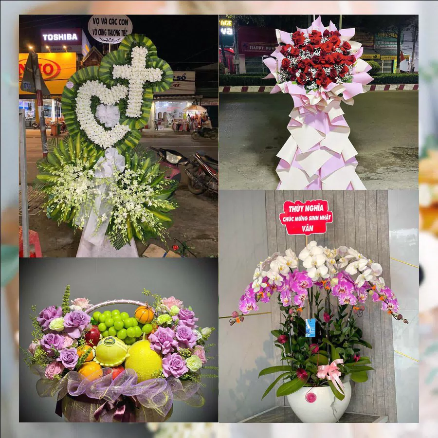 Shop Hoa Tươi Phường Quy Nhơn Nam - Tỉnh Gia Lai