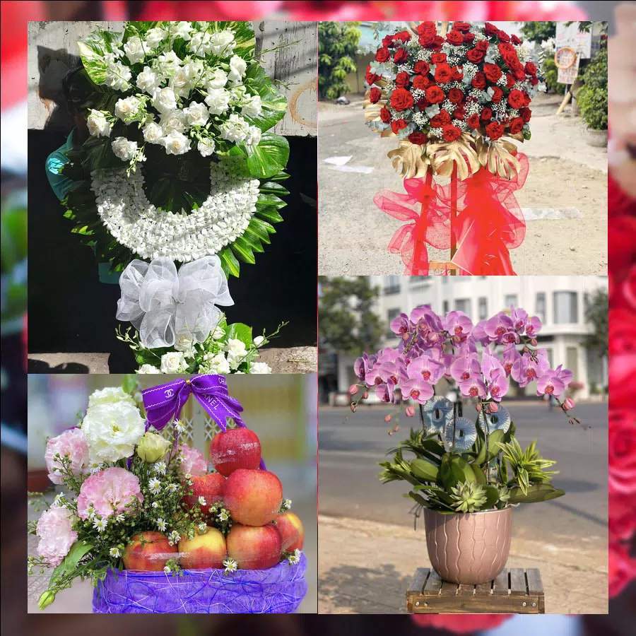 Hoa tươi giao nhanh tại Phường Quy Nhơn Nam, Gia Lai