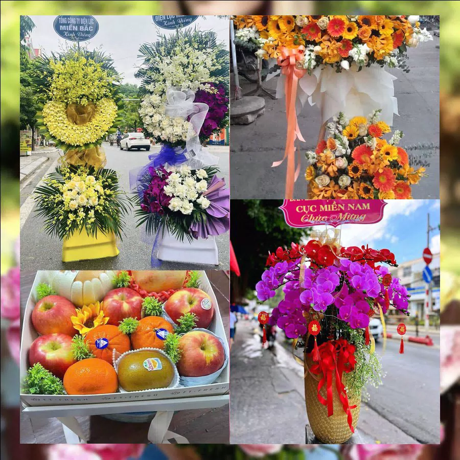 Shop Hoa Tươi Phường Ninh Hòa - Tỉnh Khánh Hòa