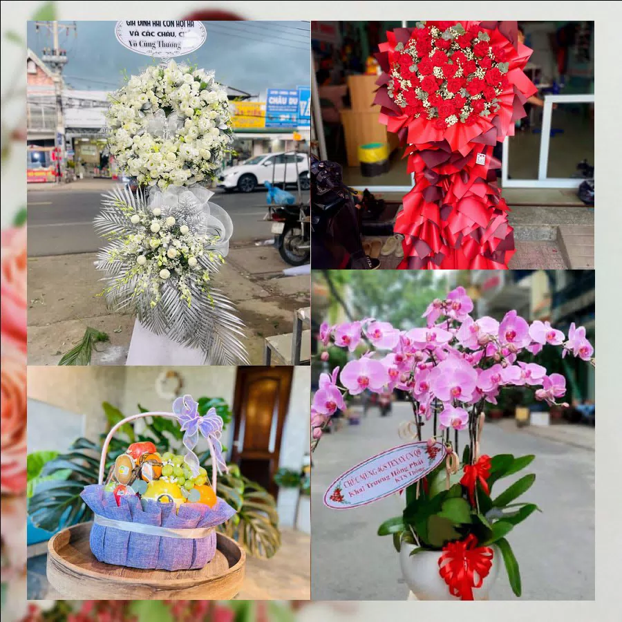 Hoa tươi gói trọn tình cảm tại Phường Ninh Hòa, Khánh Hòa