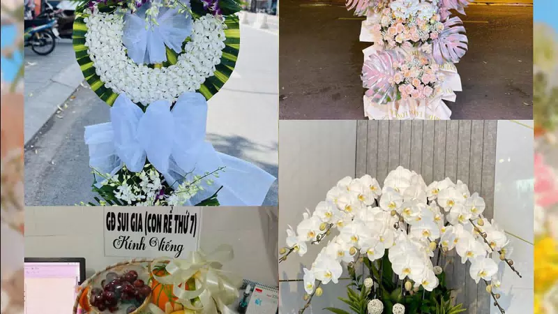Shop Hoa Tươi Phường Hội An Tây - Thành phố Đà Nẵng