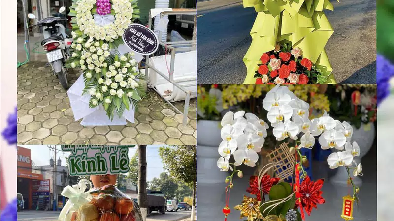 Shop Hoa Tươi Phường Phú Thượng - Thành phố Hà Nội