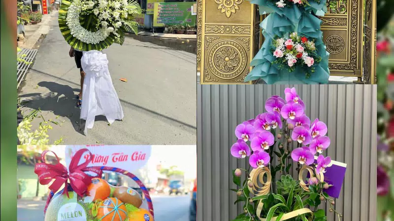 Shop Hoa Tươi Phường Diên Hồng - Tỉnh Gia Lai