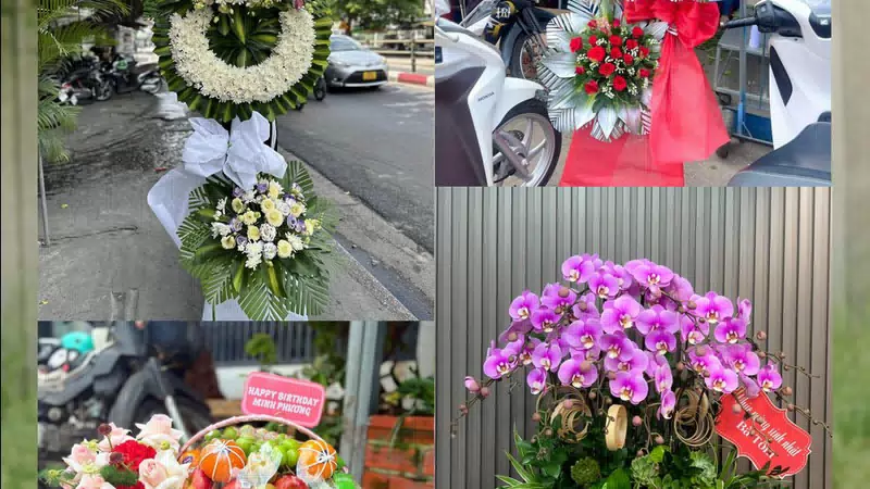 Shop Hoa Tươi Phường Thuận Thành - Tỉnh Bắc Ninh