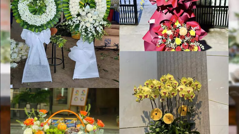 Shop Hoa Tươi Xã An Phú - Tỉnh Quảng Ngãi