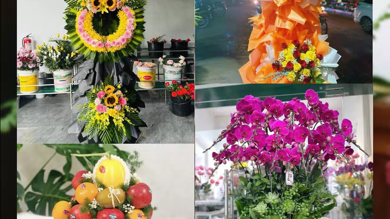 Shop Hoa Tươi Xã Kiều Phú - Thành phố Hà Nội