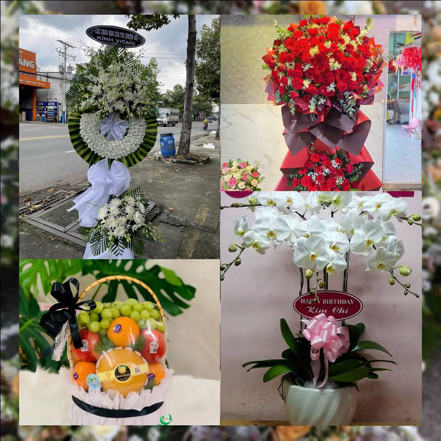 Mẫu hoa tươi tại Shop Hoa Tươi Xã Kiều Phú, Hà Nội