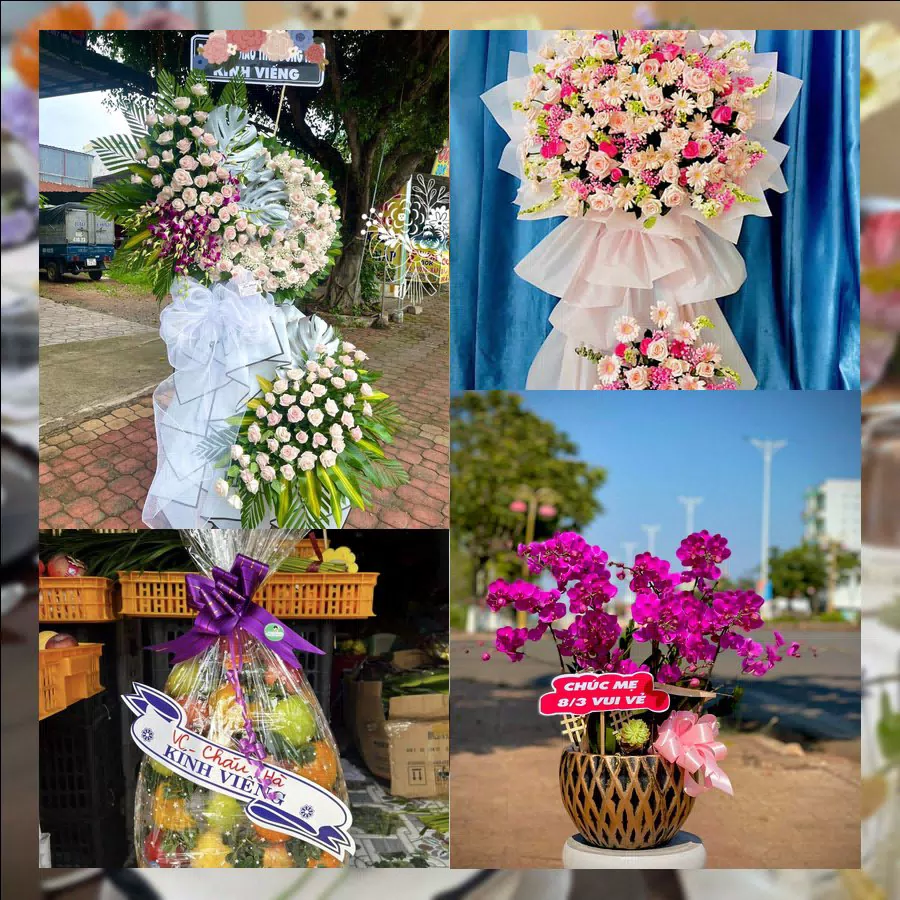 Shop Hoa Tươi Xã Dân Hòa - Thành phố Hà Nội