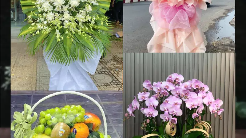 Shop Hoa Tươi Xã Quỳnh Phú - Tỉnh Nghệ An