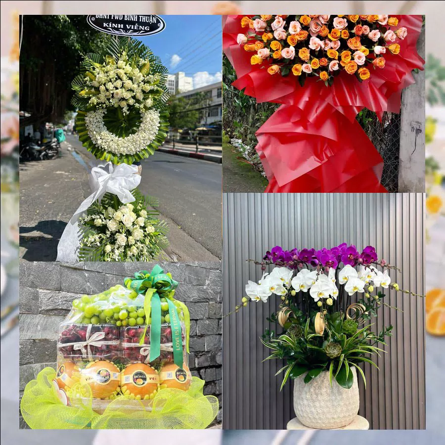 Mẫu hoa tươi tại Shop Hoa Tươi Xã Quỳnh Phú, Nghệ An