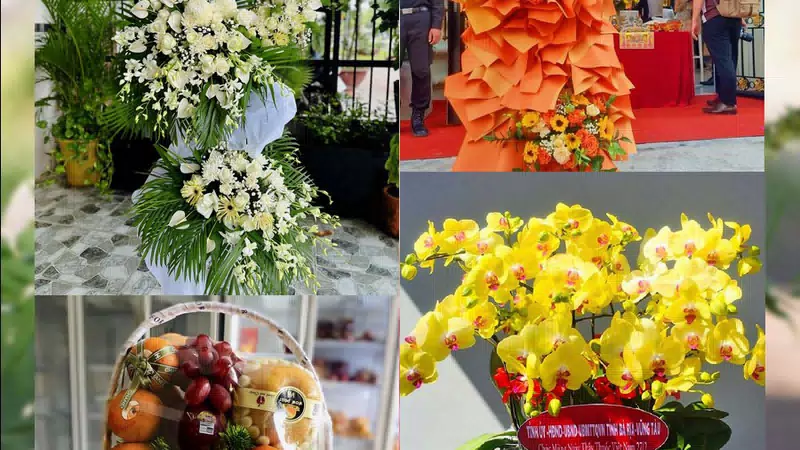Shop Hoa Tươi Xã Diễn Châu - Tỉnh Nghệ An