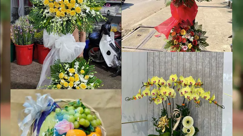 Shop Hoa Tươi Phường An Hội - Tỉnh Vĩnh Long