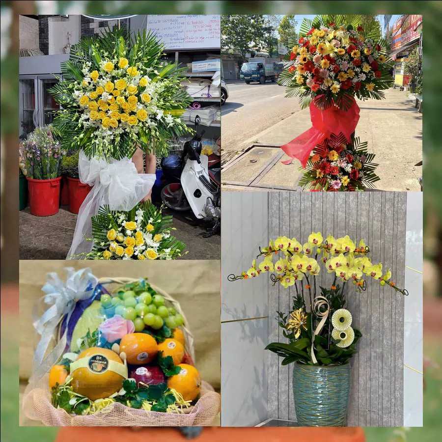 Shop Hoa Tươi Phường An Hội - Tỉnh Vĩnh Long