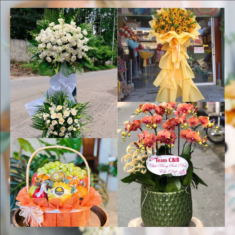 Mẫu hoa tươi tại Shop Hoa Tươi Phường An Hội, Vĩnh Long