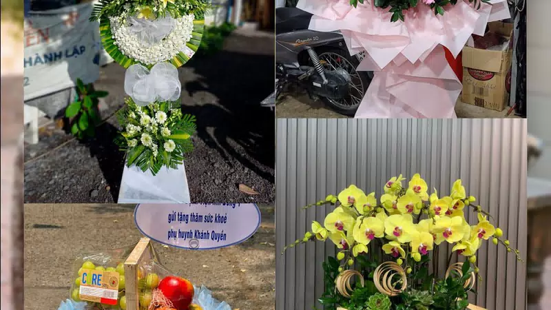 Shop Hoa Tươi Phường Điện Bàn - Thành phố Đà Nẵng