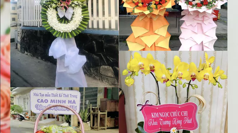Shop Hoa Tươi Phường Long Phú - Tỉnh An Giang