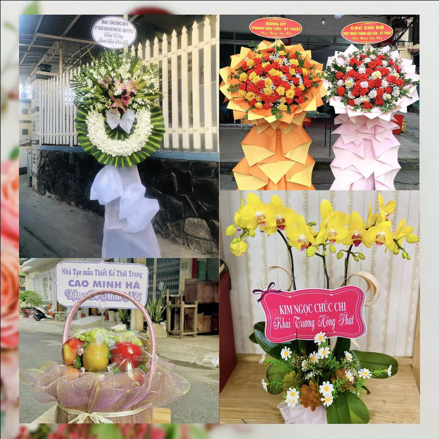 Shop Hoa Tươi Phường Long Phú - Tỉnh An Giang