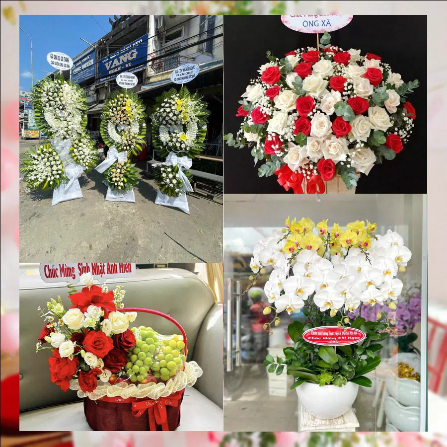 Mẫu hoa tươi tại Shop Hoa Tươi Phường Long Phú, An Giang