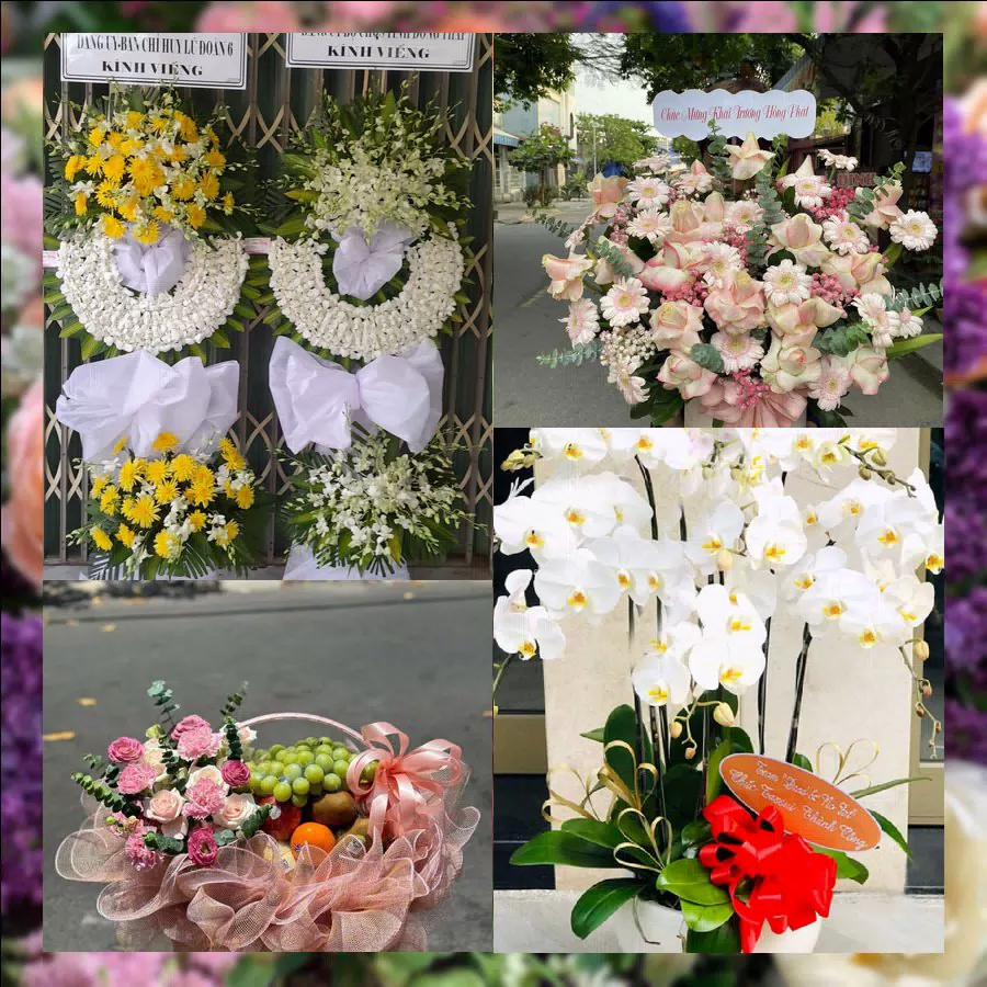 Shop Hoa Tươi Phường Xuân Hương - Đà Lạt - Tỉnh Lâm Đồng