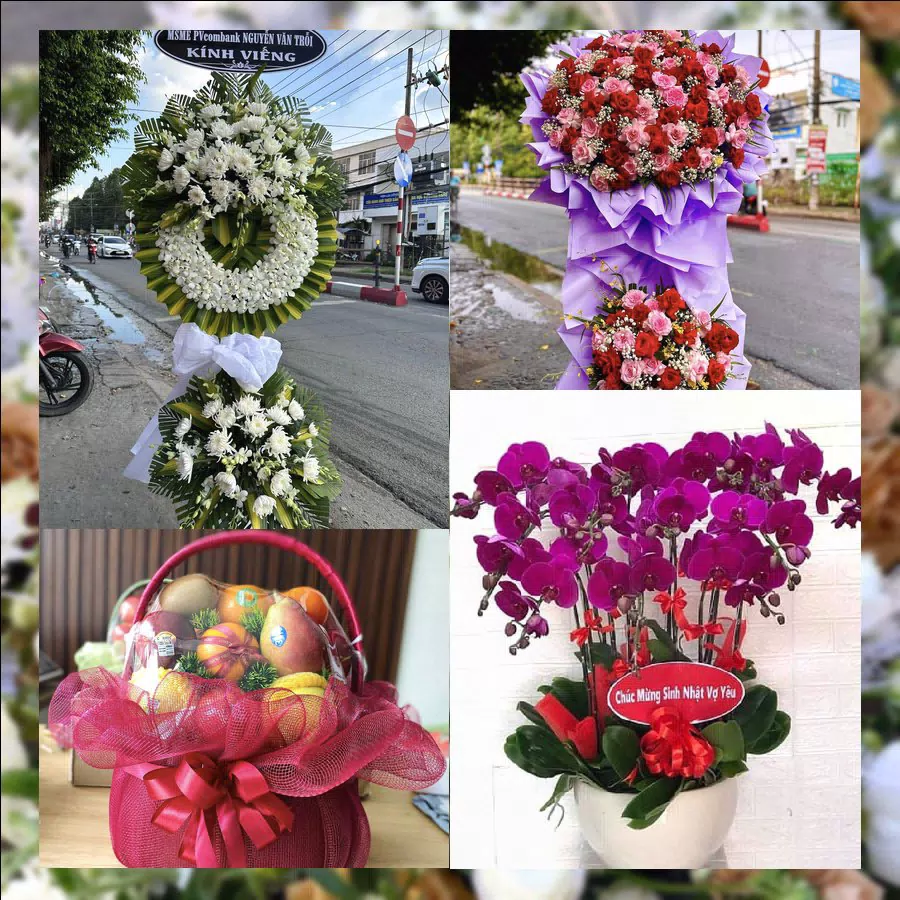 Mẫu hoa tươi tại Shop Hoa Tươi Phường Xuân Hương - Đà Lạt, Lâm Đồng