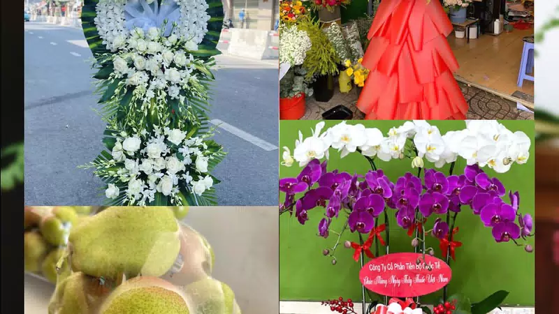 Shop Hoa Tươi Phường Nếnh - Tỉnh Bắc Ninh