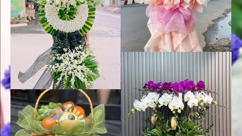Shop Hoa Tươi Phường Trà Vinh - Tỉnh Vĩnh Long
