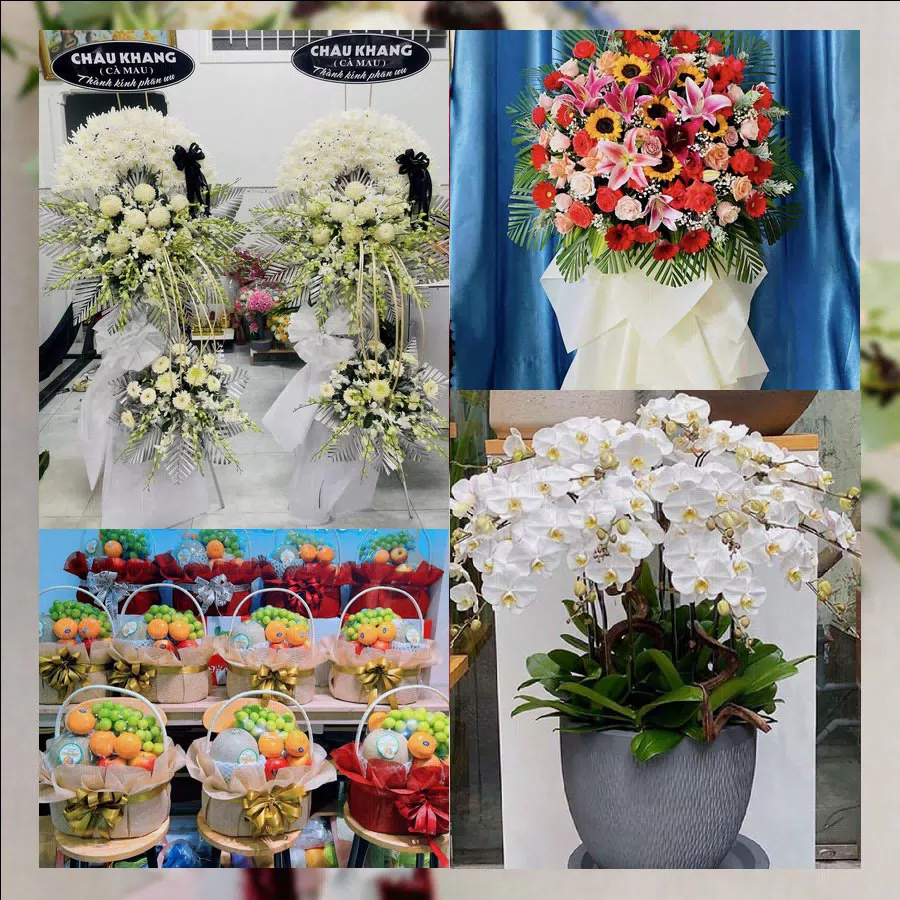 Mẫu hoa tươi tại Shop Hoa Tươi Phường Trà Vinh, Vĩnh Long