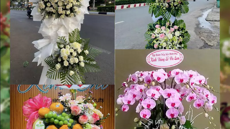 Shop Hoa Tươi Xã Đan Phượng - Thành phố Hà Nội