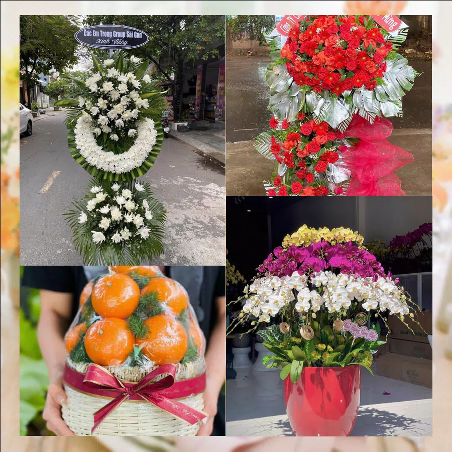 Shop Hoa Tươi Phường Tân Lập - Tỉnh Đắk Lắk