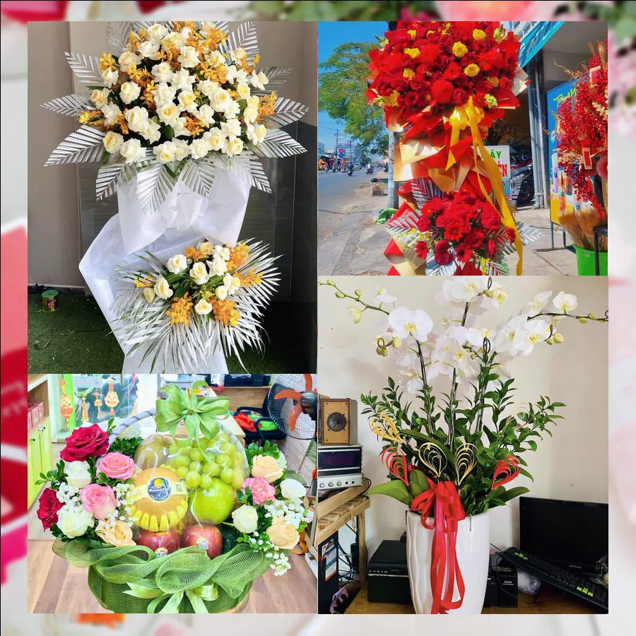 Mẫu hoa tươi tại Shop Hoa Tươi Phường Tân Lập, Đắk Lắk