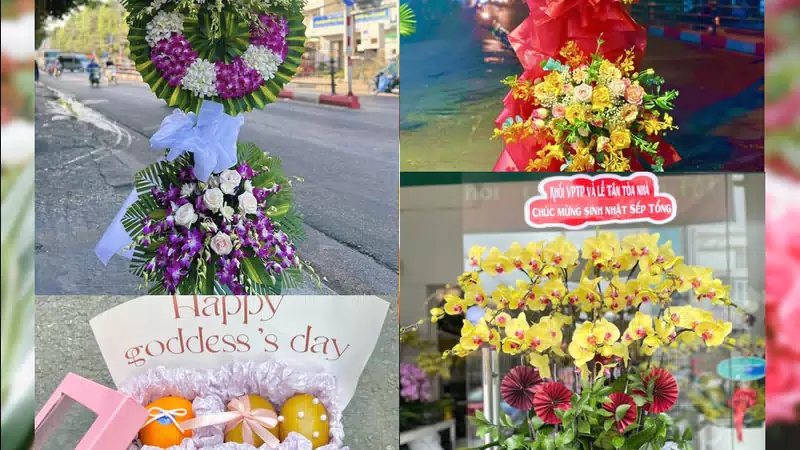 Shop Hoa Tươi Phường Bảo An - Tỉnh Khánh Hòa